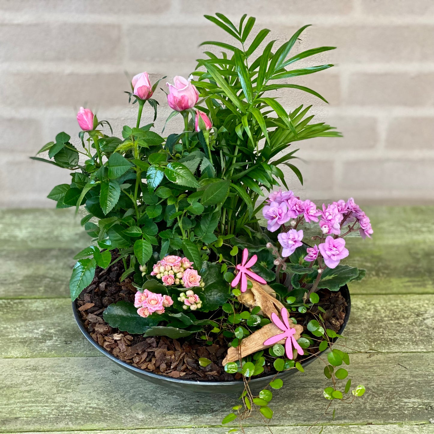 Indendørs-beplantning