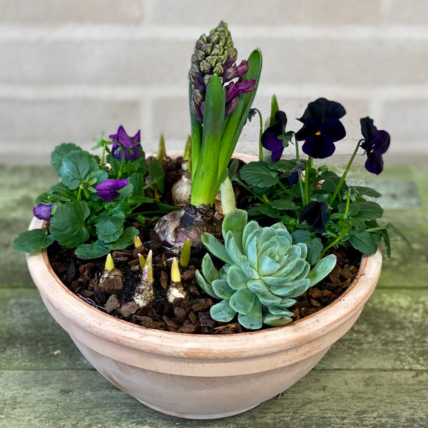 Udendørs-beplantning